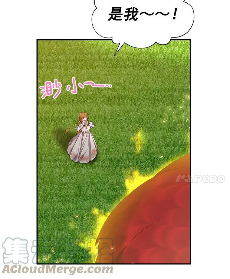 46.召唤神兽之王 第57页