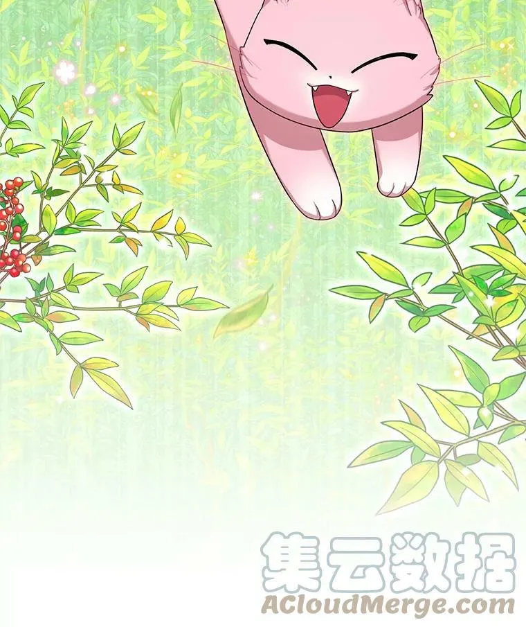 51.治疗剂 第41页