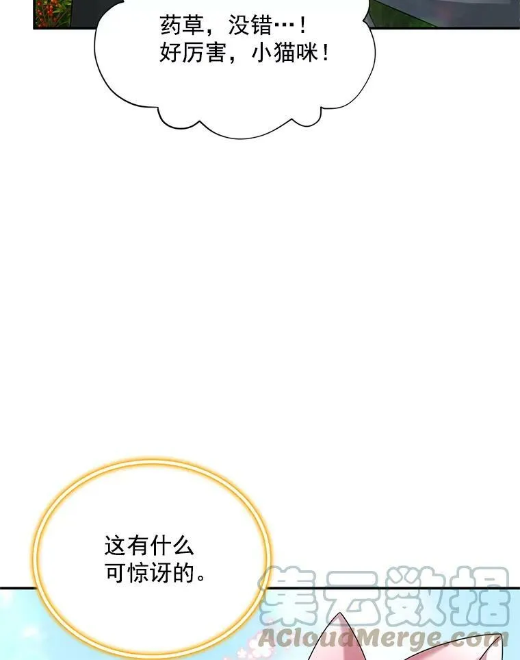51.治疗剂 第45页