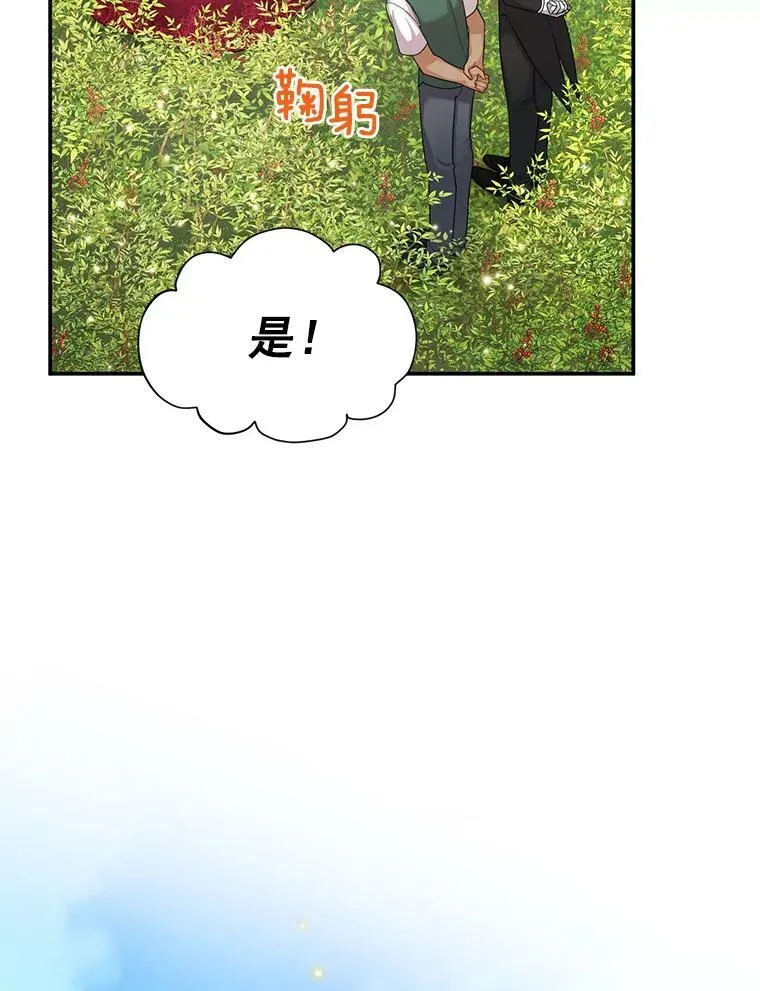 51.治疗剂 第48页