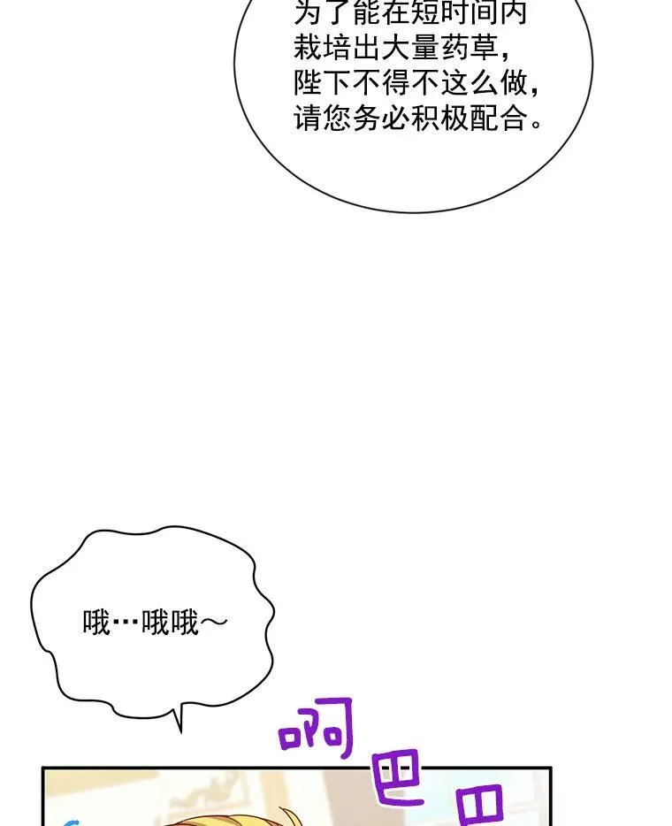 51.治疗剂 第82页