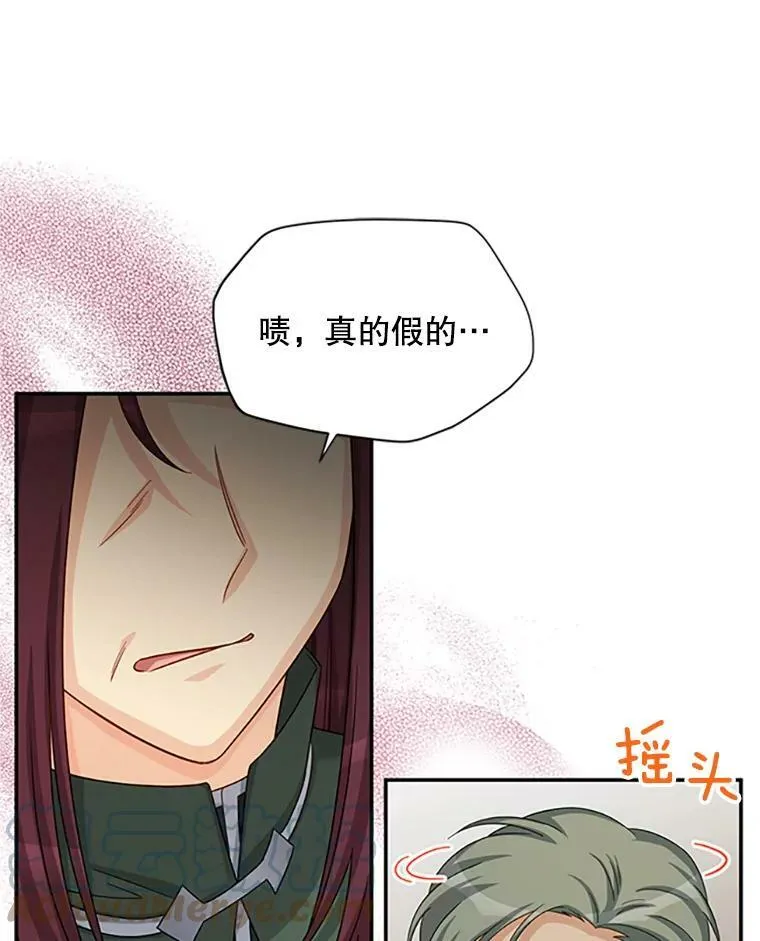 76.侦察 第13页