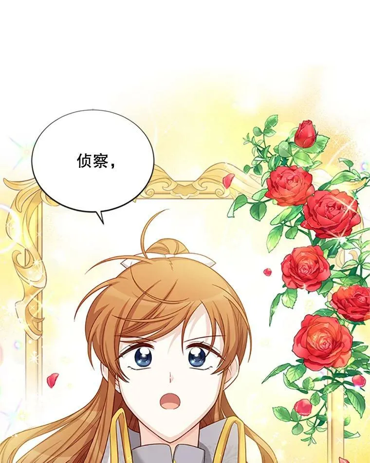 76.侦察 第35页