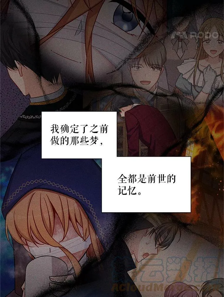 95.前世今生 第49页