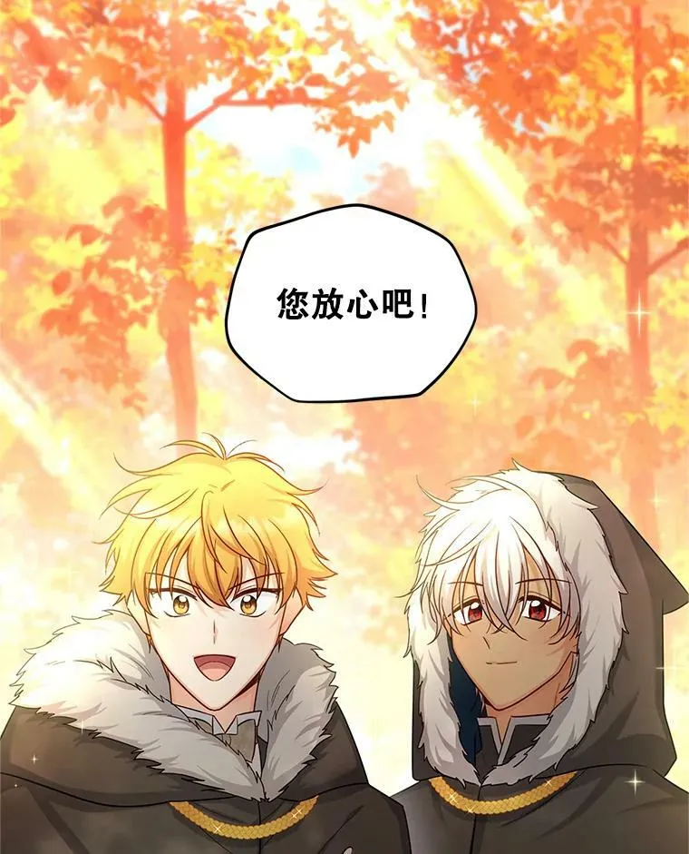 96.黄金召唤师的回归 第24页