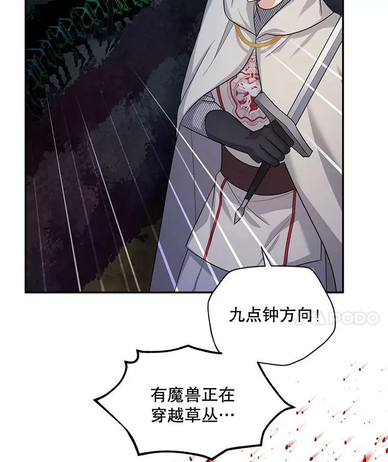 96.黄金召唤师的回归 第42页