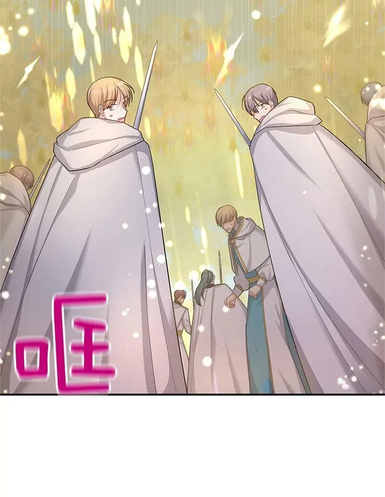 96.黄金召唤师的回归 第86页
