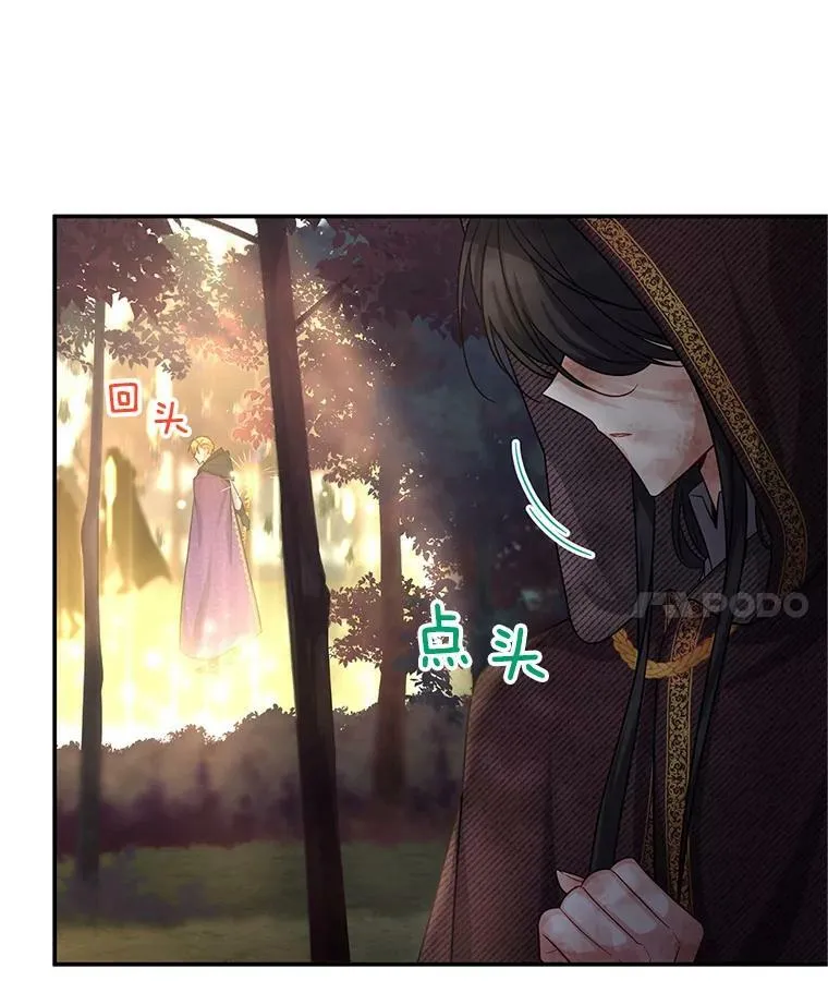 96.黄金召唤师的回归 第91页