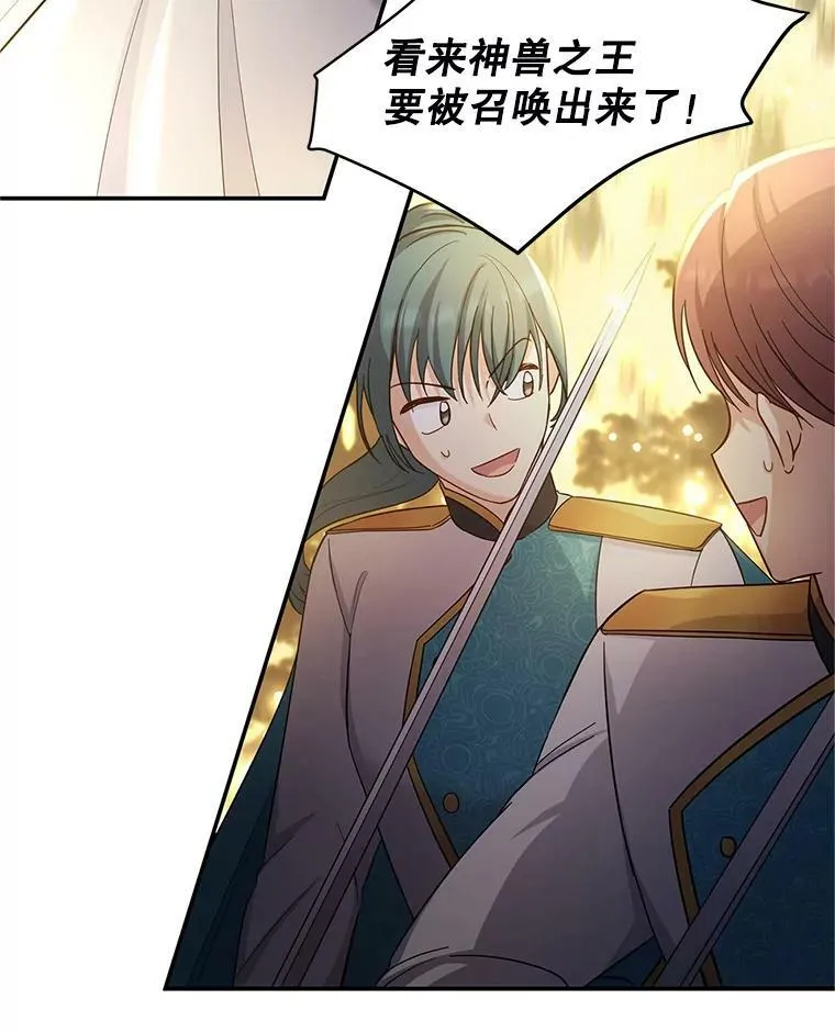 96.黄金召唤师的回归 第96页