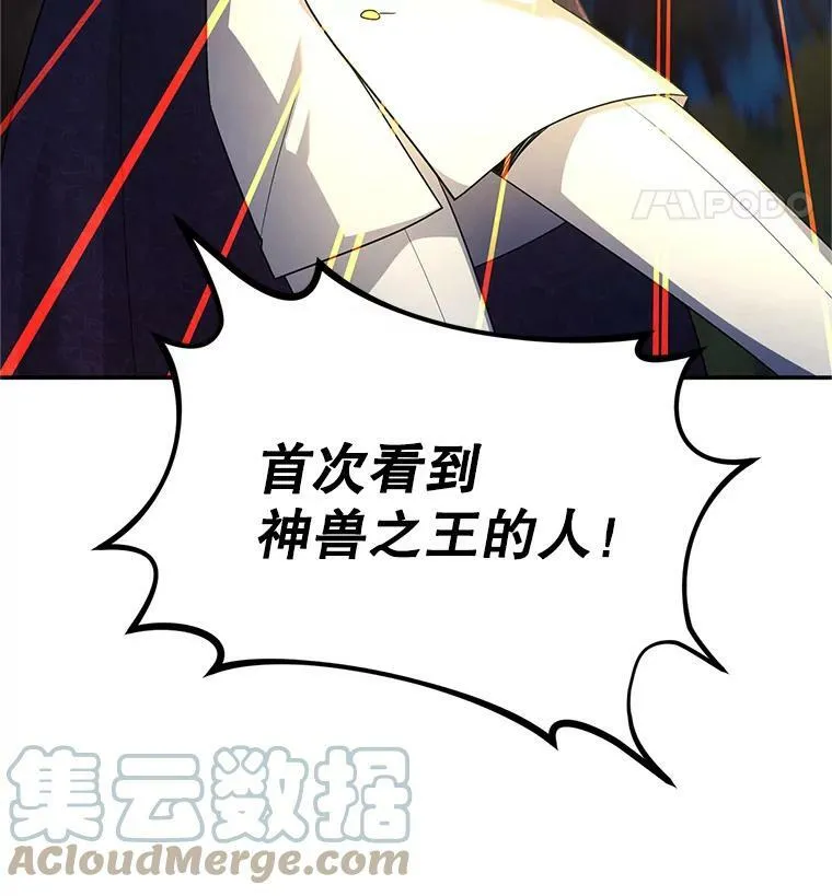 96.黄金召唤师的回归 第113页