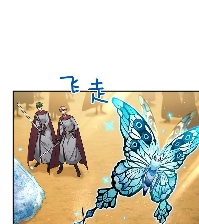 108.顶级召唤师 第16页