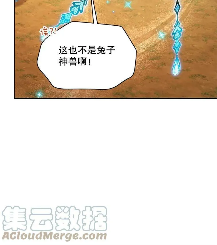 108.顶级召唤师 第17页