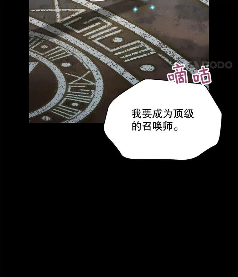 108.顶级召唤师 第32页