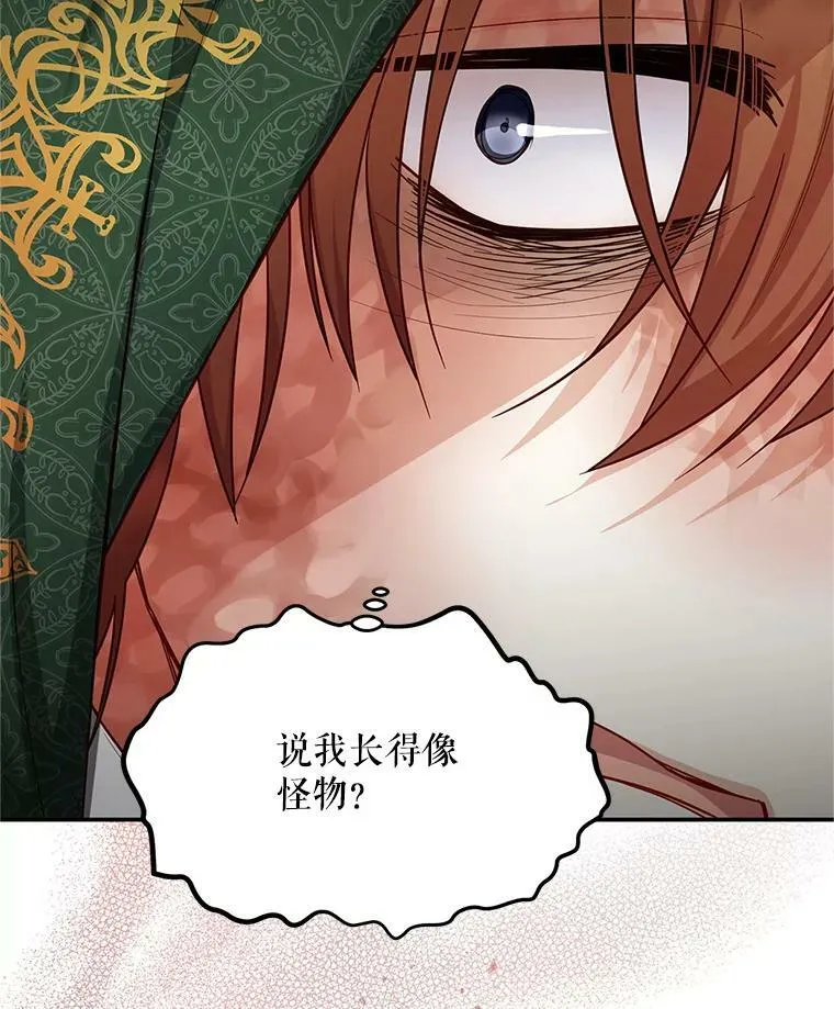 108.顶级召唤师 第52页