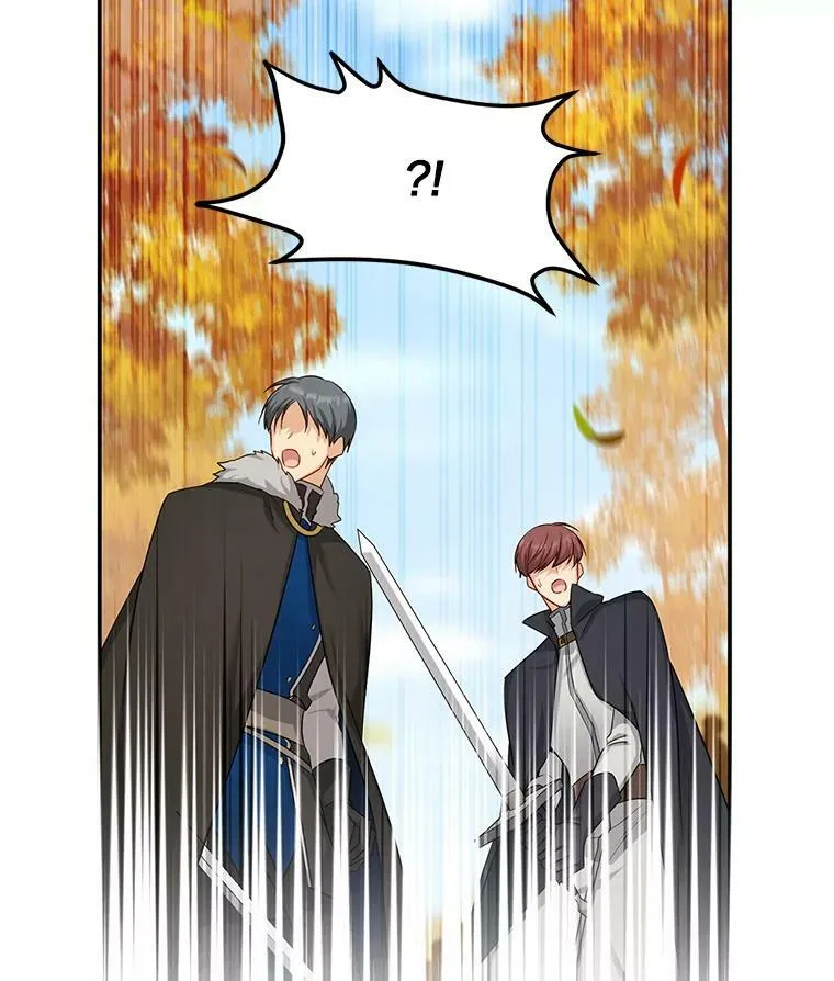 108.顶级召唤师 第79页