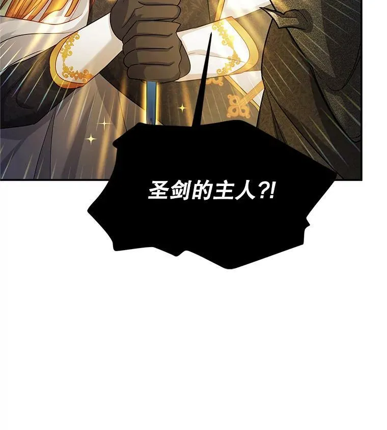 110.总司令现身 第16页