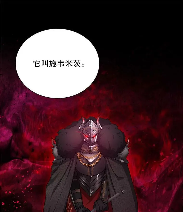 110.总司令现身 第27页