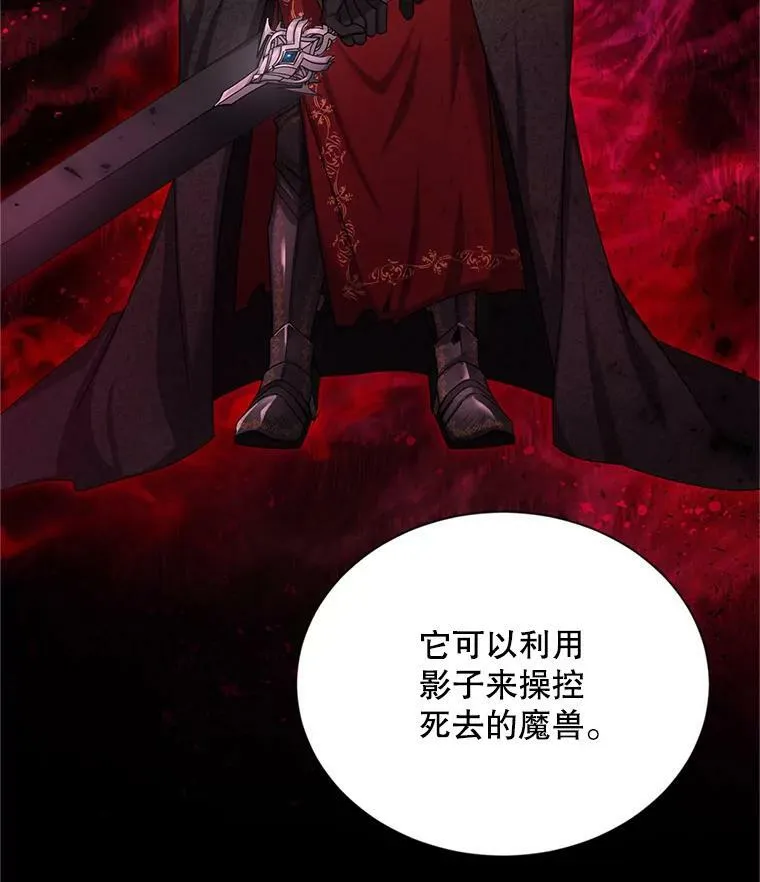 110.总司令现身 第28页