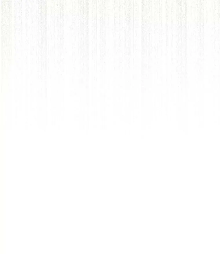 110.总司令现身 第84页