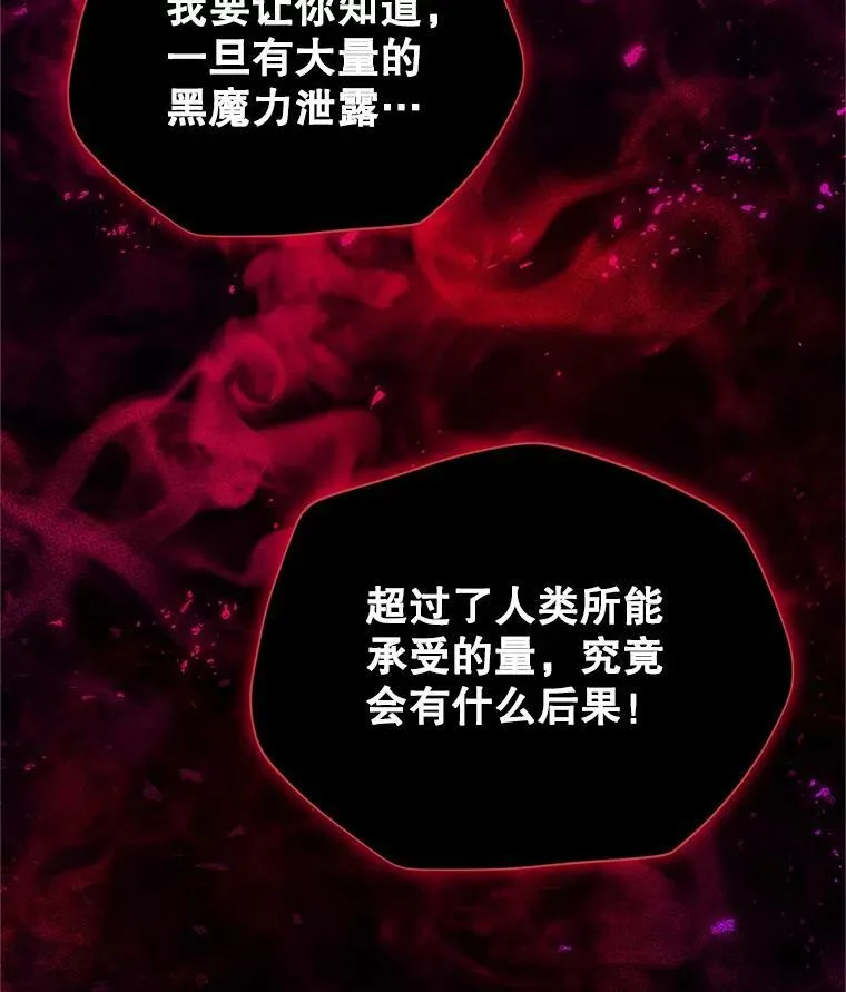 110.总司令现身 第110页