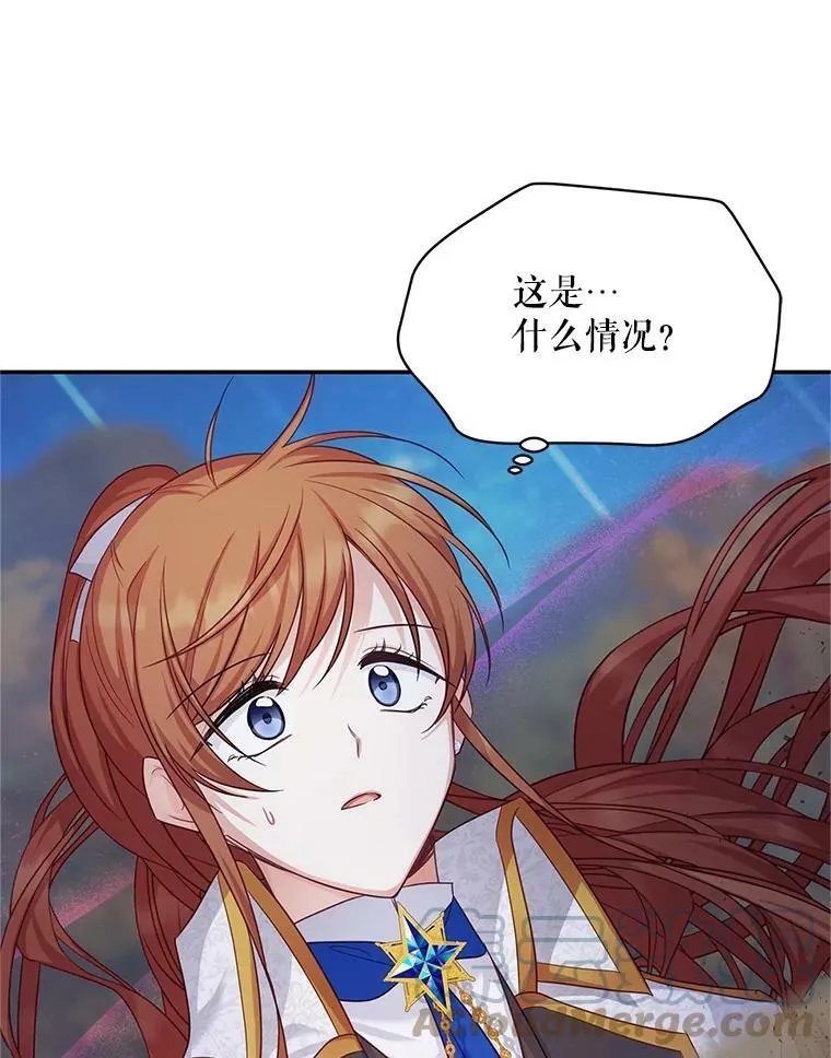 111.抗拒的圣剑 第29页