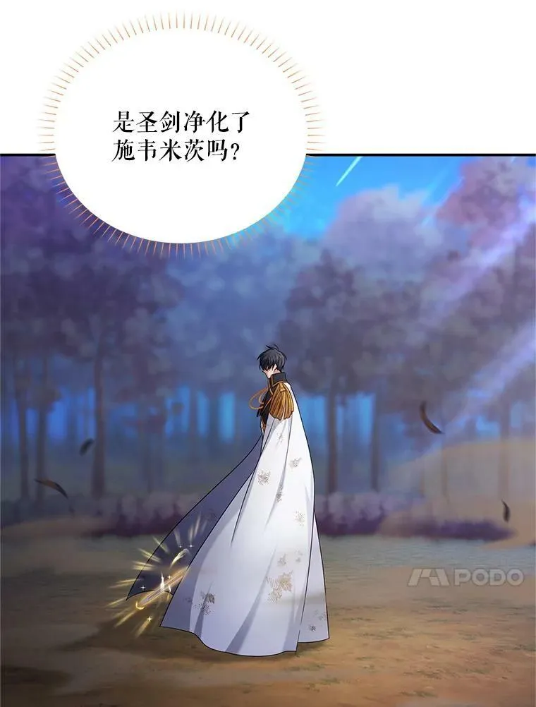 111.抗拒的圣剑 第31页