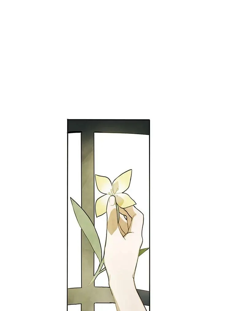 2.陌生的丝绒之城 第51页