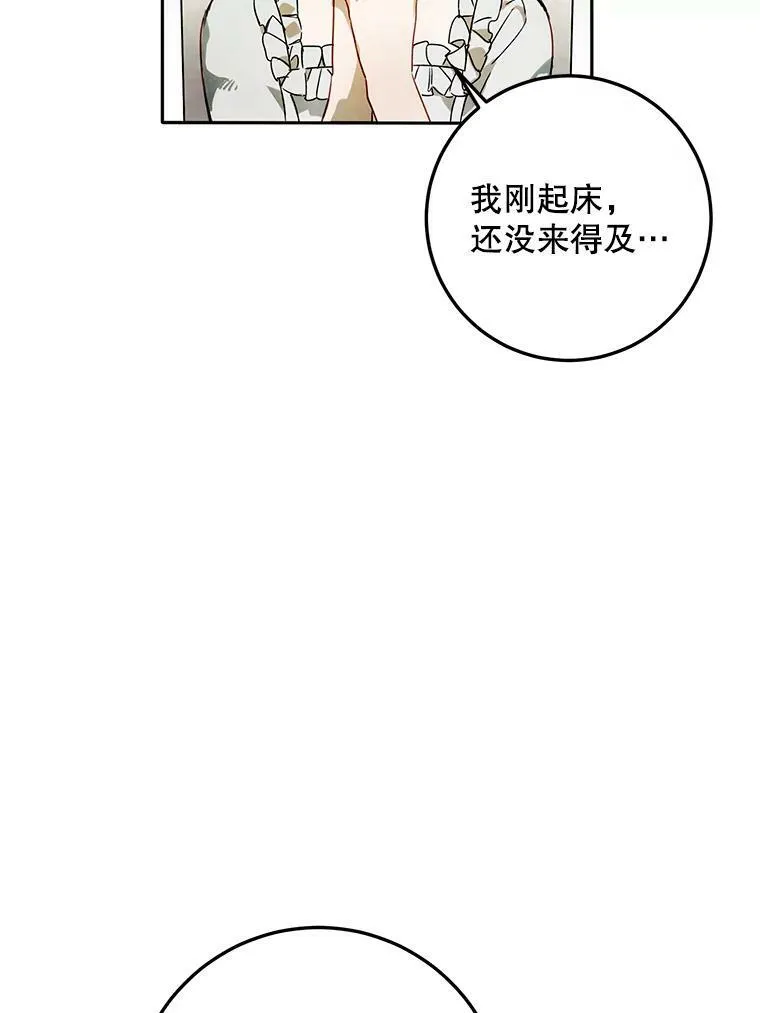 2.陌生的丝绒之城 第78页