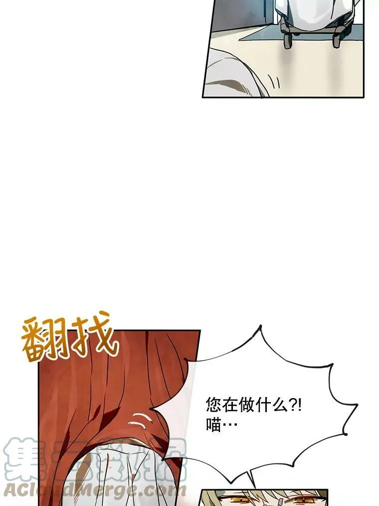 2.陌生的丝绒之城 第82页