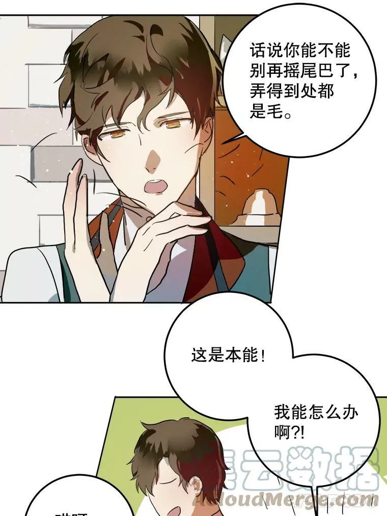 6.安蒂克出丑 第31页