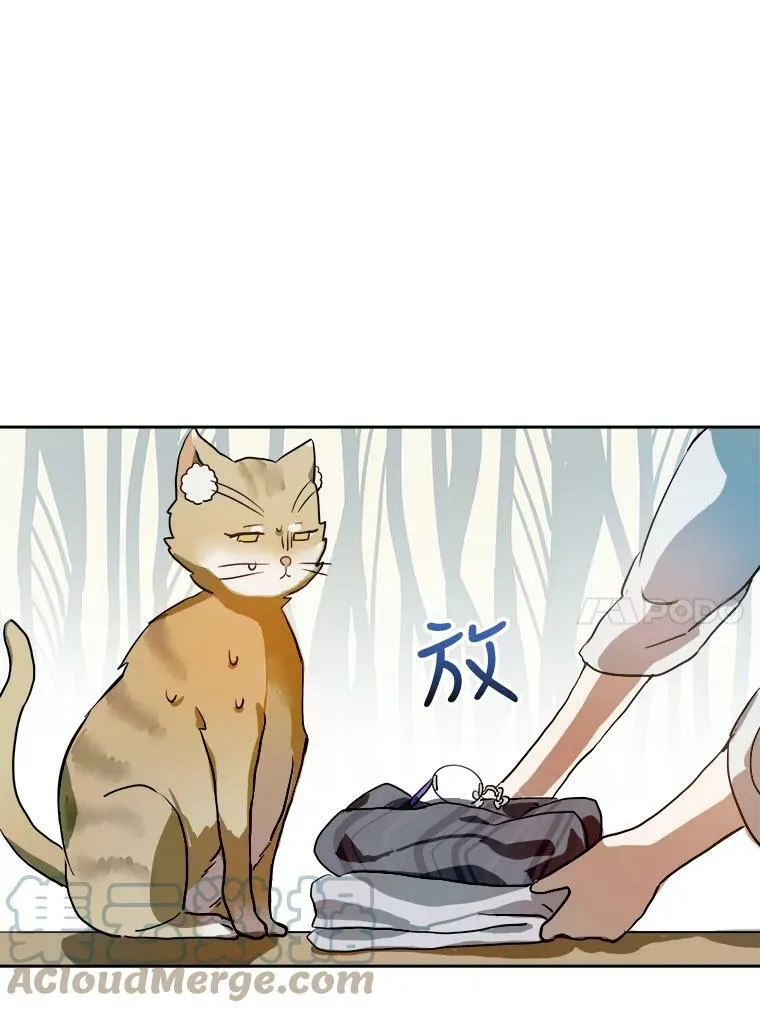 6.安蒂克出丑 第40页