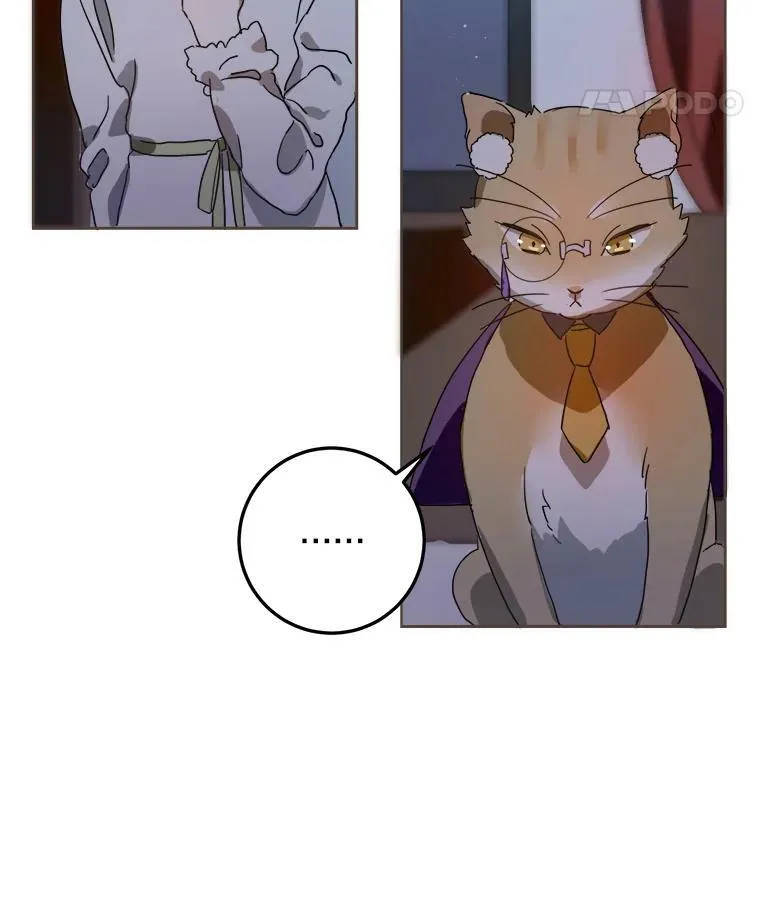9.和解 第8页