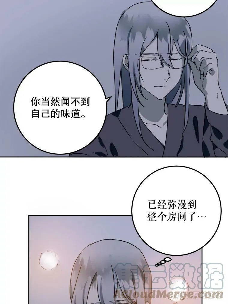 16.蓝宝石项链 第43页