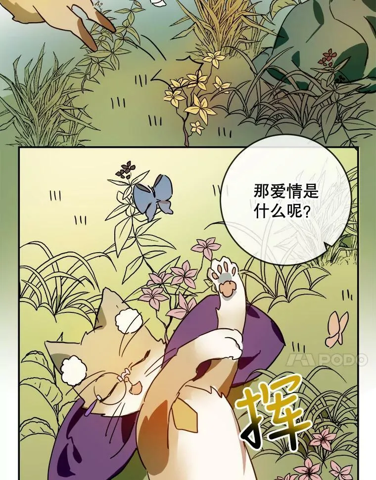 21.无法描述的情感 第11页