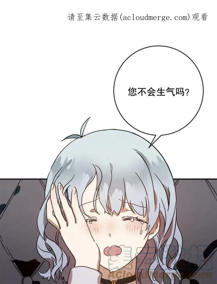 23.会说话的小鸟 第1页