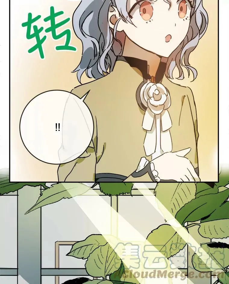 23.会说话的小鸟 第13页