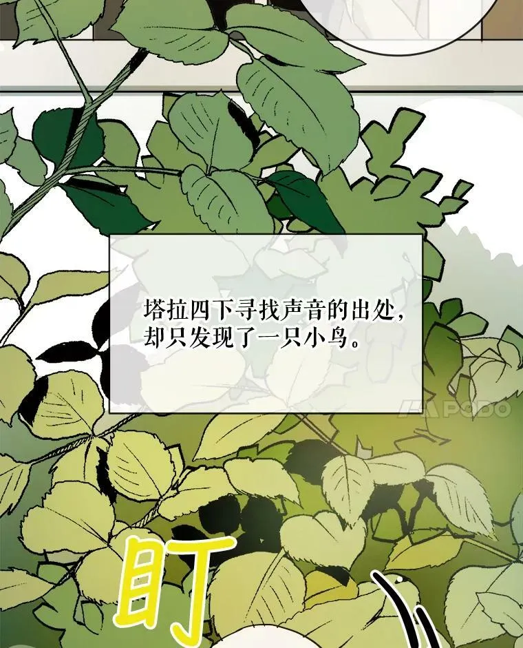 23.会说话的小鸟 第15页