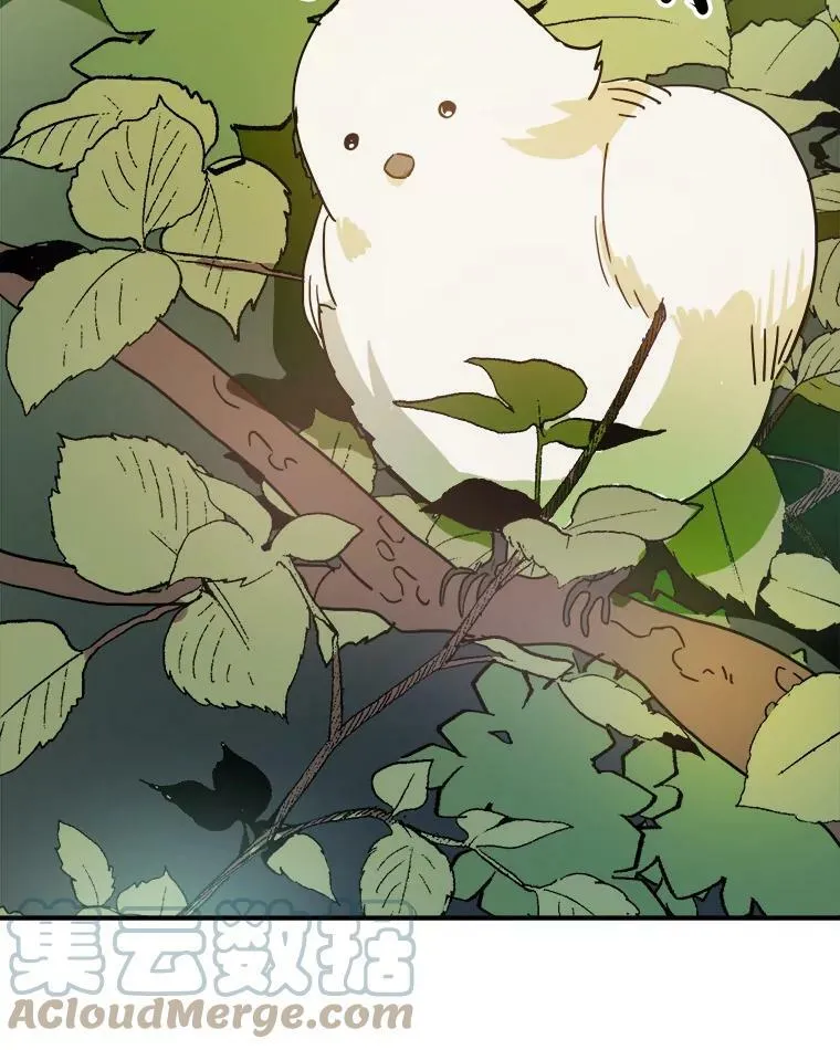 23.会说话的小鸟 第16页