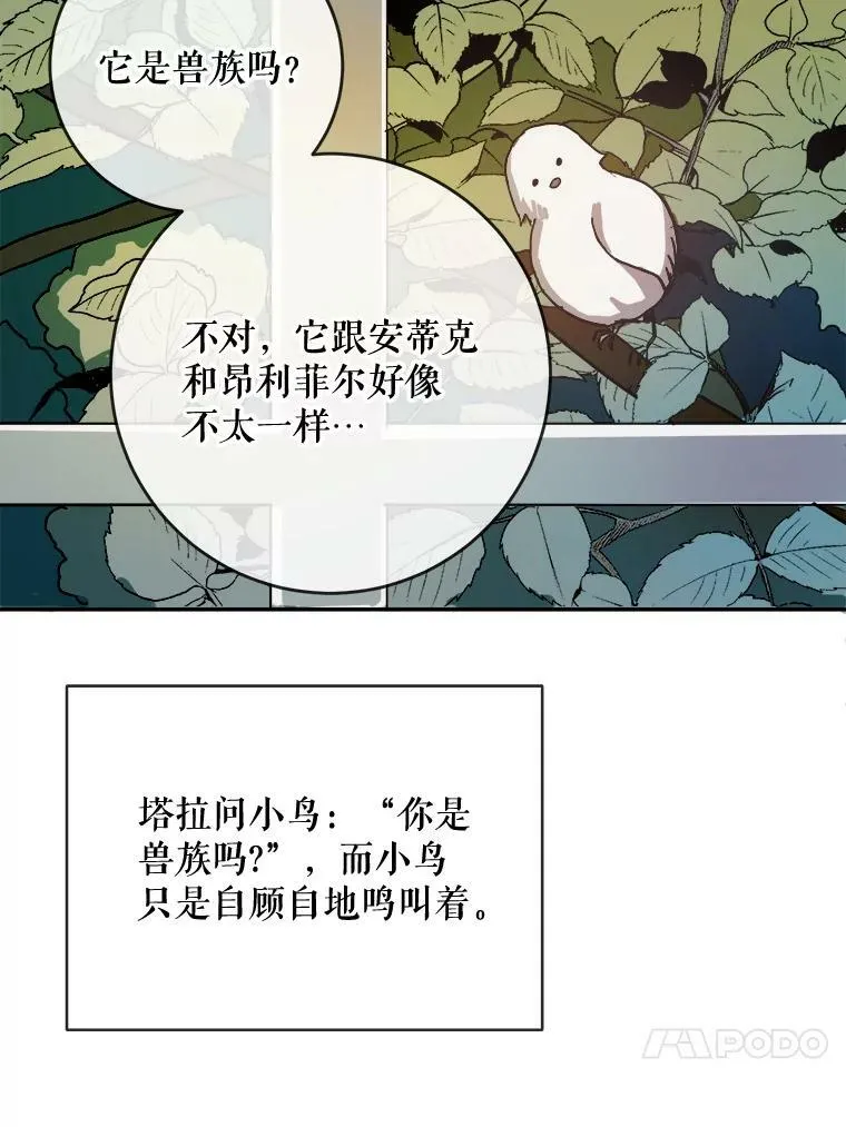 23.会说话的小鸟 第18页