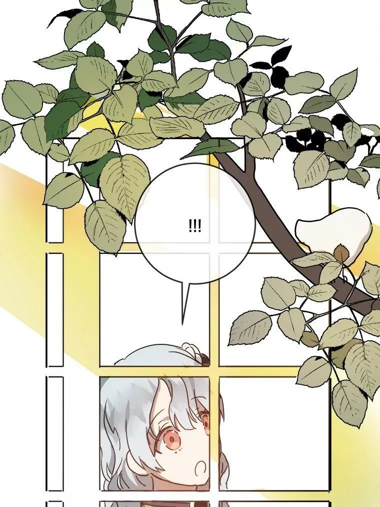 23.会说话的小鸟 第21页