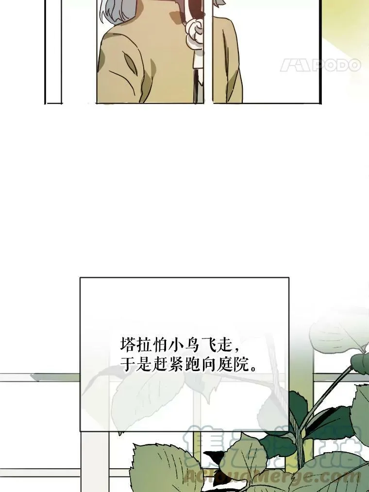 23.会说话的小鸟 第22页