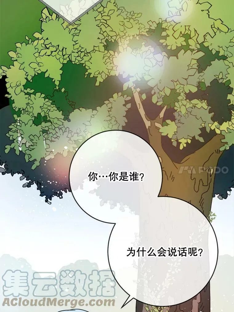 23.会说话的小鸟 第28页