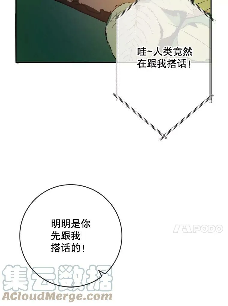 23.会说话的小鸟 第31页