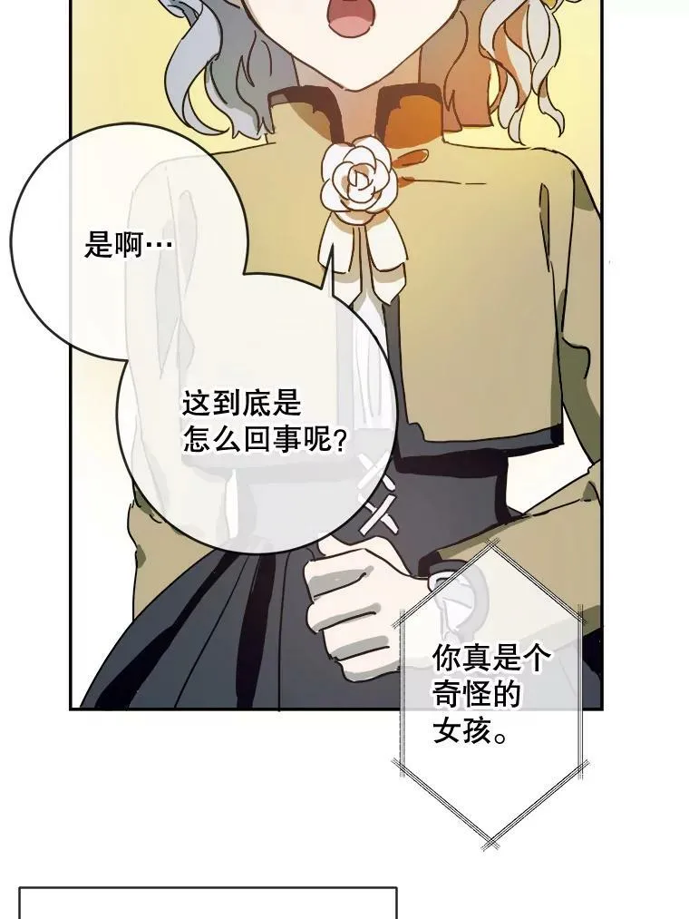 23.会说话的小鸟 第33页
