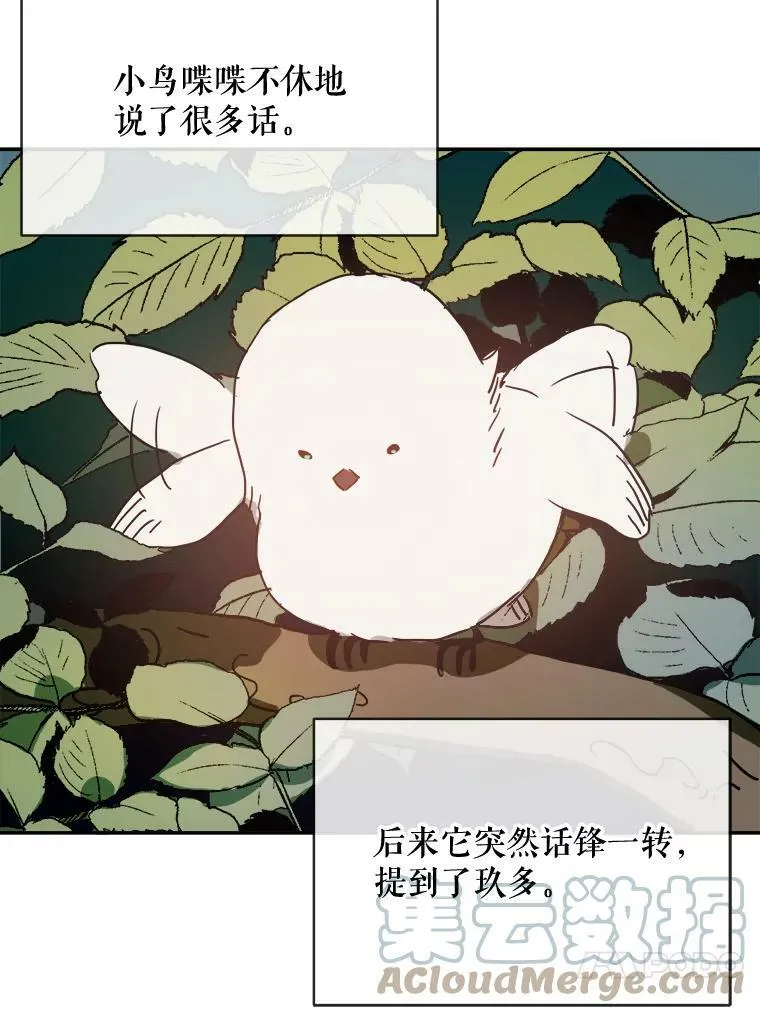 23.会说话的小鸟 第34页