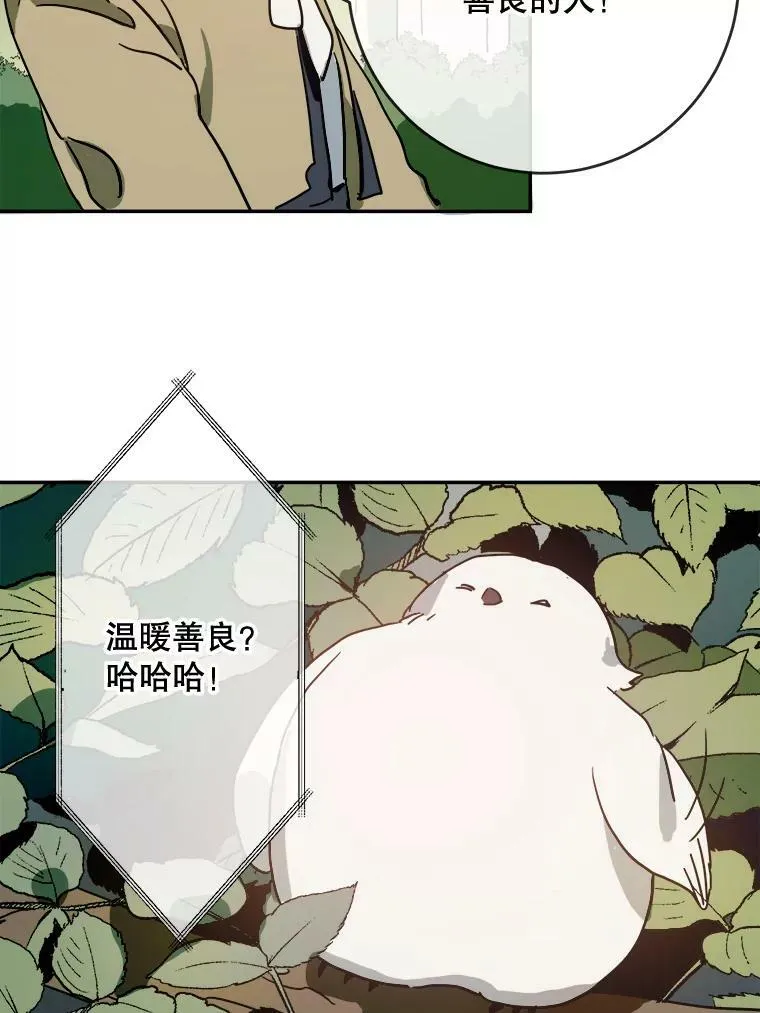 23.会说话的小鸟 第36页