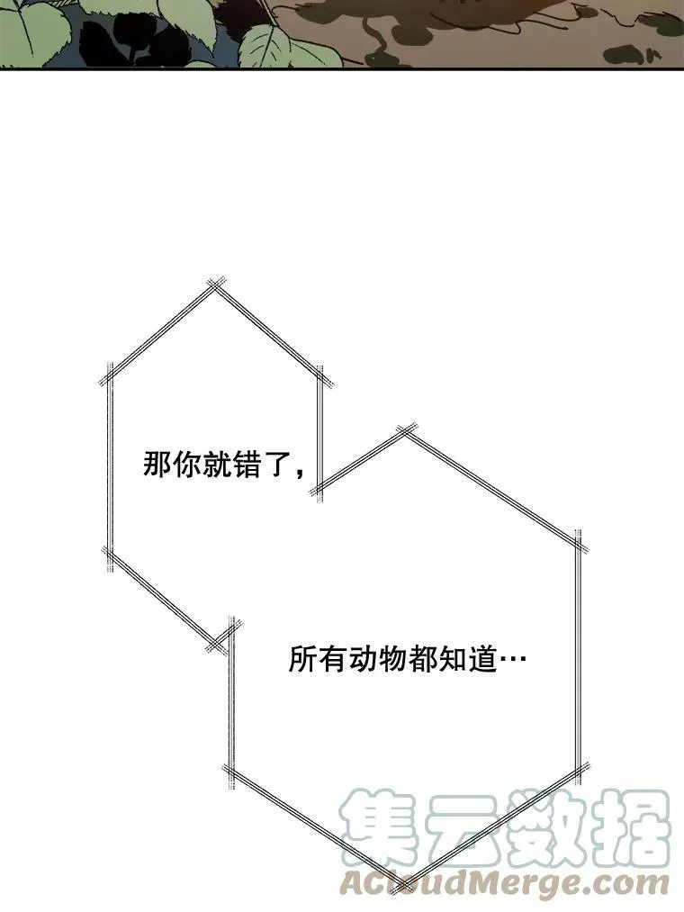 23.会说话的小鸟 第37页