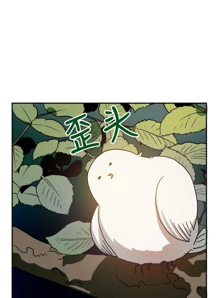 23.会说话的小鸟 第42页
