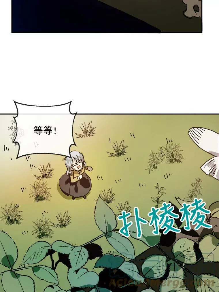 23.会说话的小鸟 第43页