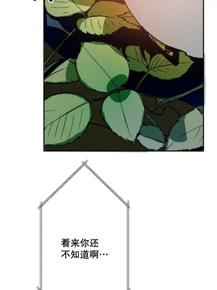 23.会说话的小鸟 第45页